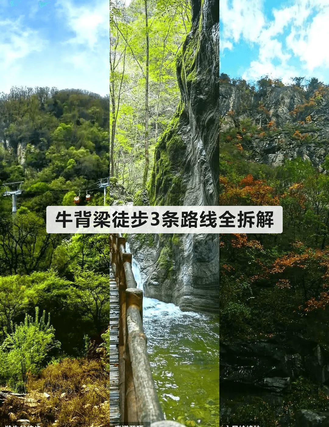 牛背梁徒步攻略3条路线选哪条
牛背梁国家森林公园我去了不下5次，把3条路线全走了
