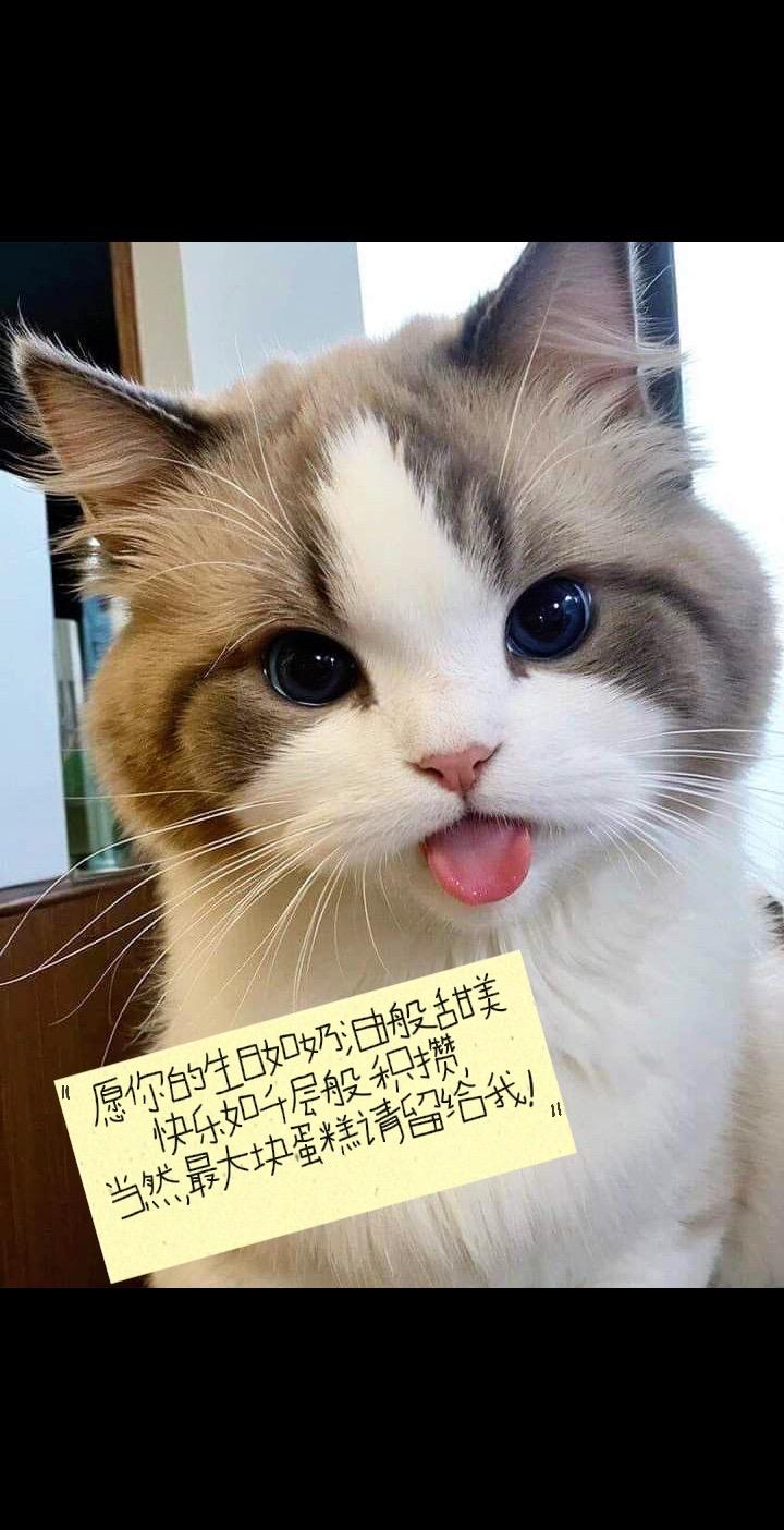 “愿你的生日如奶油般甜美
  快乐如千层般积攒
  当然，最大块蛋糕请留给我！”