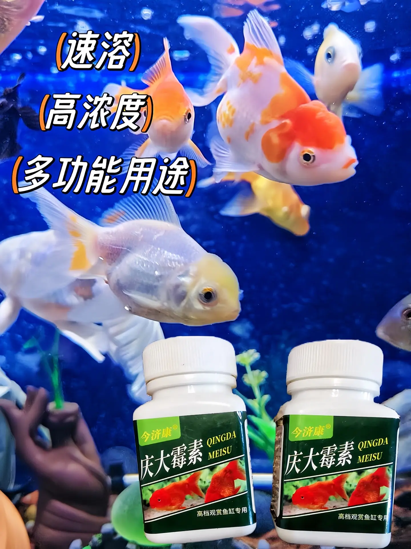 哥哥们，养鱼必备的庆大霉素来啦，炸鳞立鳞烂鳃烂尾白毛白点观赏鱼淡水鱼龙...