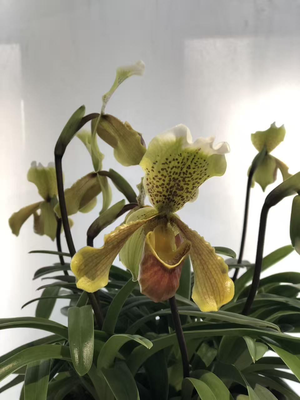 钱也是有灵性的，你用钱做好事，让钱不停的流动，钱会永流不息，要是捂在手里，或花在