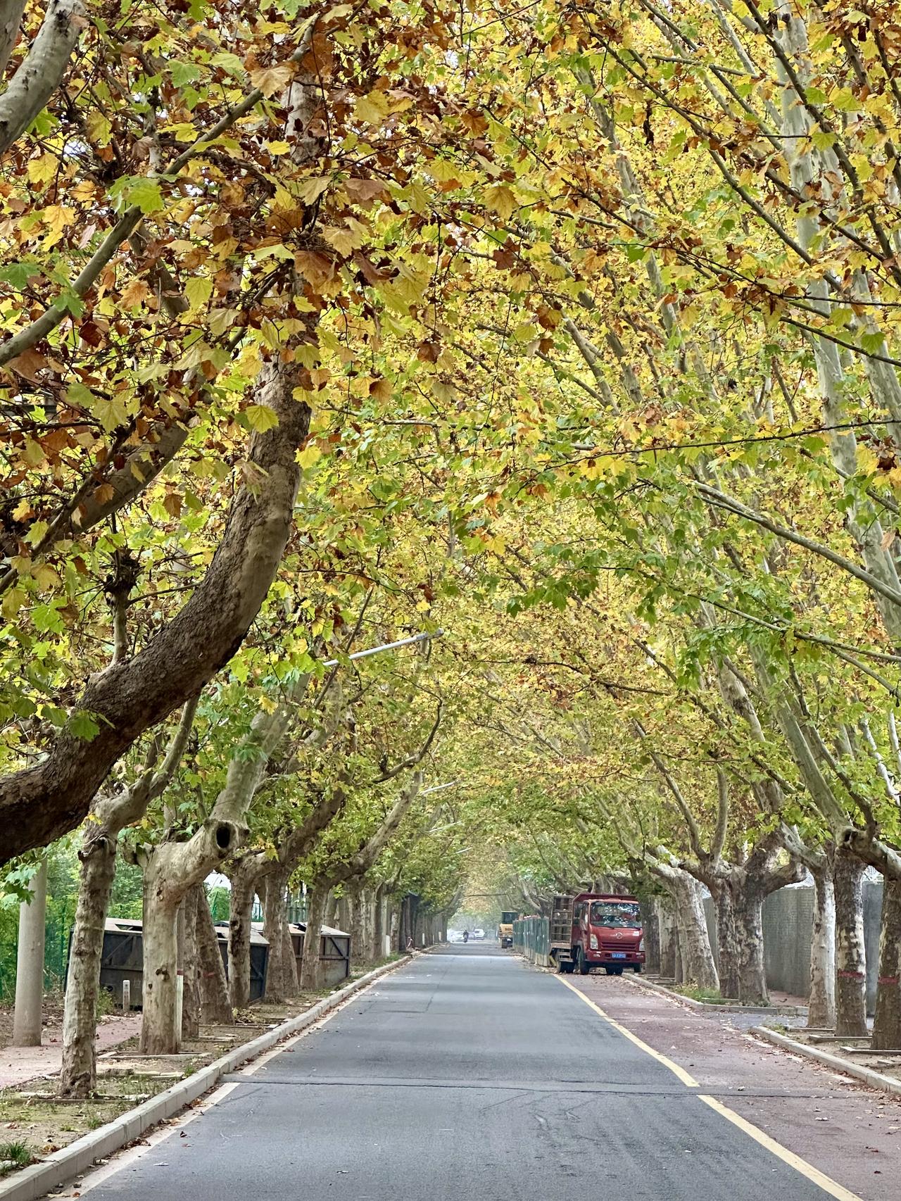 不少人把“活在当下”仅仅停留在嘴上。
不惜一切代价去赚钱、存钱，源于对未来生活不