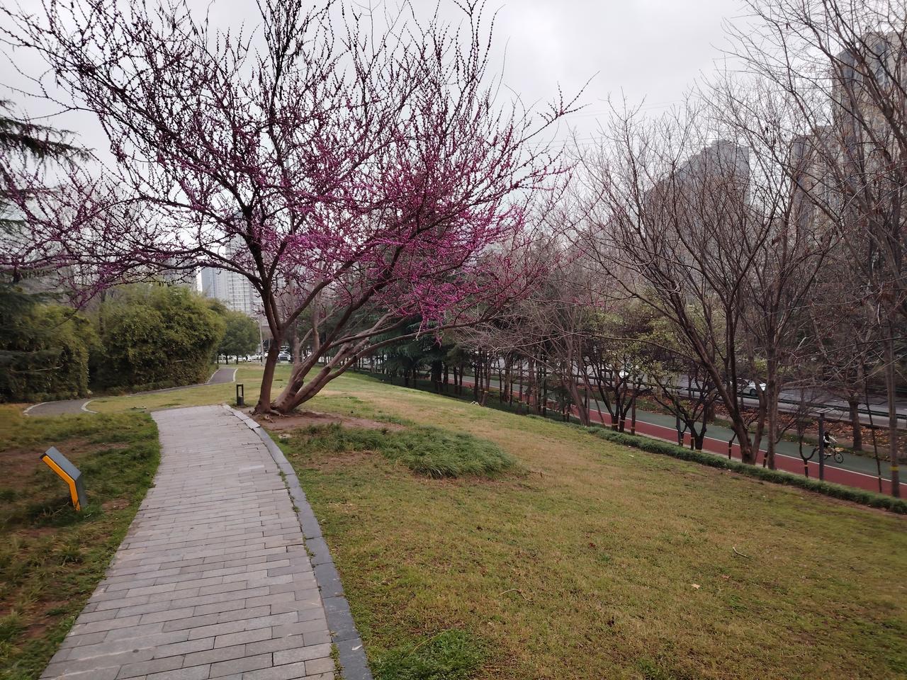 独坐校长宝座上，
小金库旁睡得香。
以为贪账已深藏，
青天明月知其账。