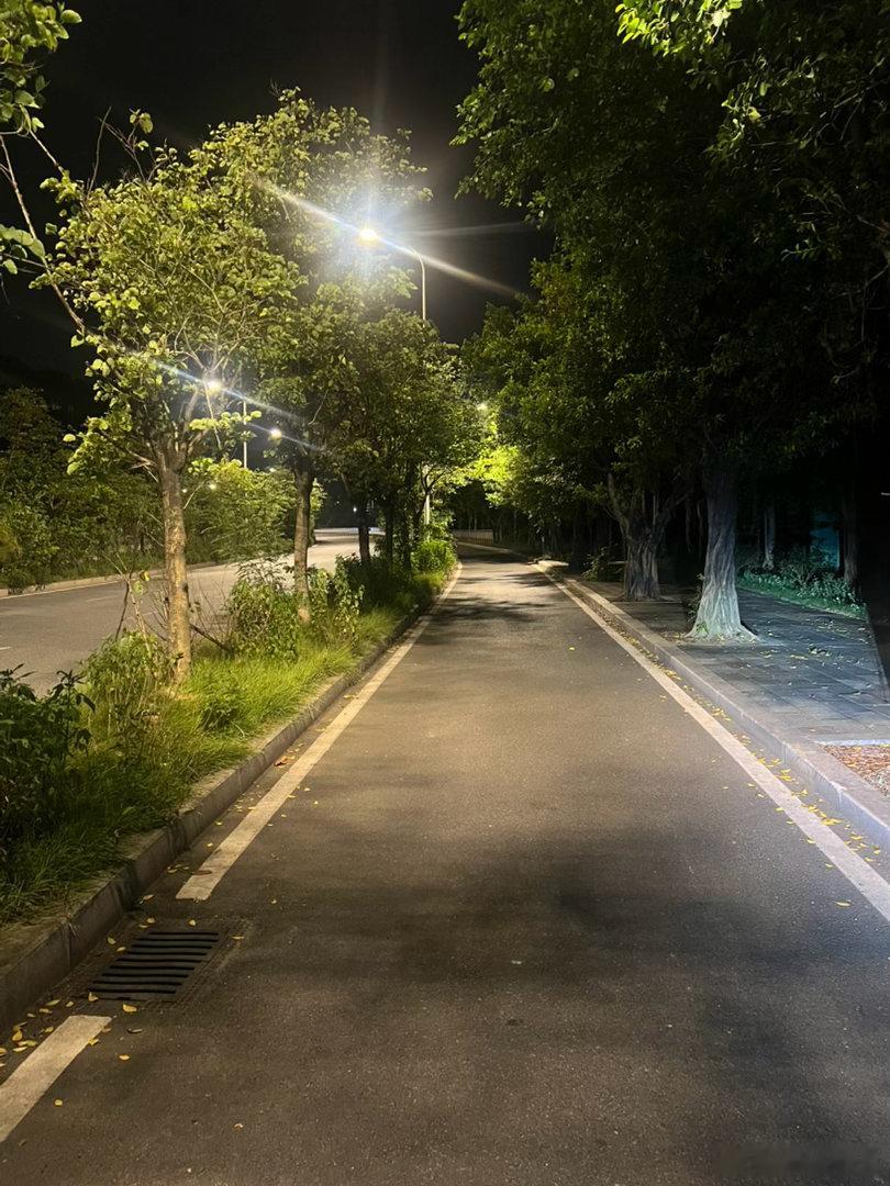 忙碌一天之后，独自一个人走在这宽阔安静的路上，任由晚风吹拂，心里很安静很踏实。生