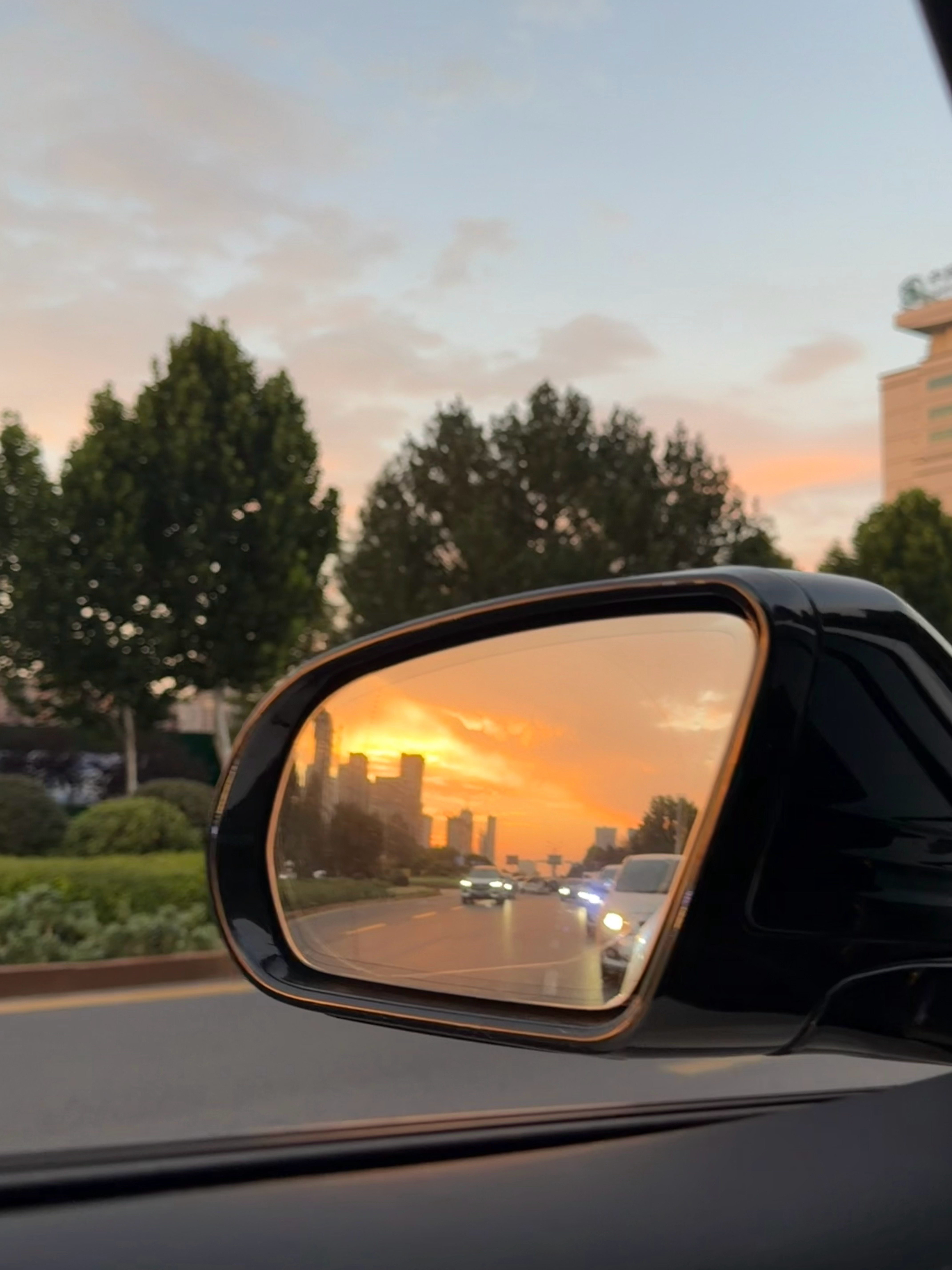 🌆 ​​​
