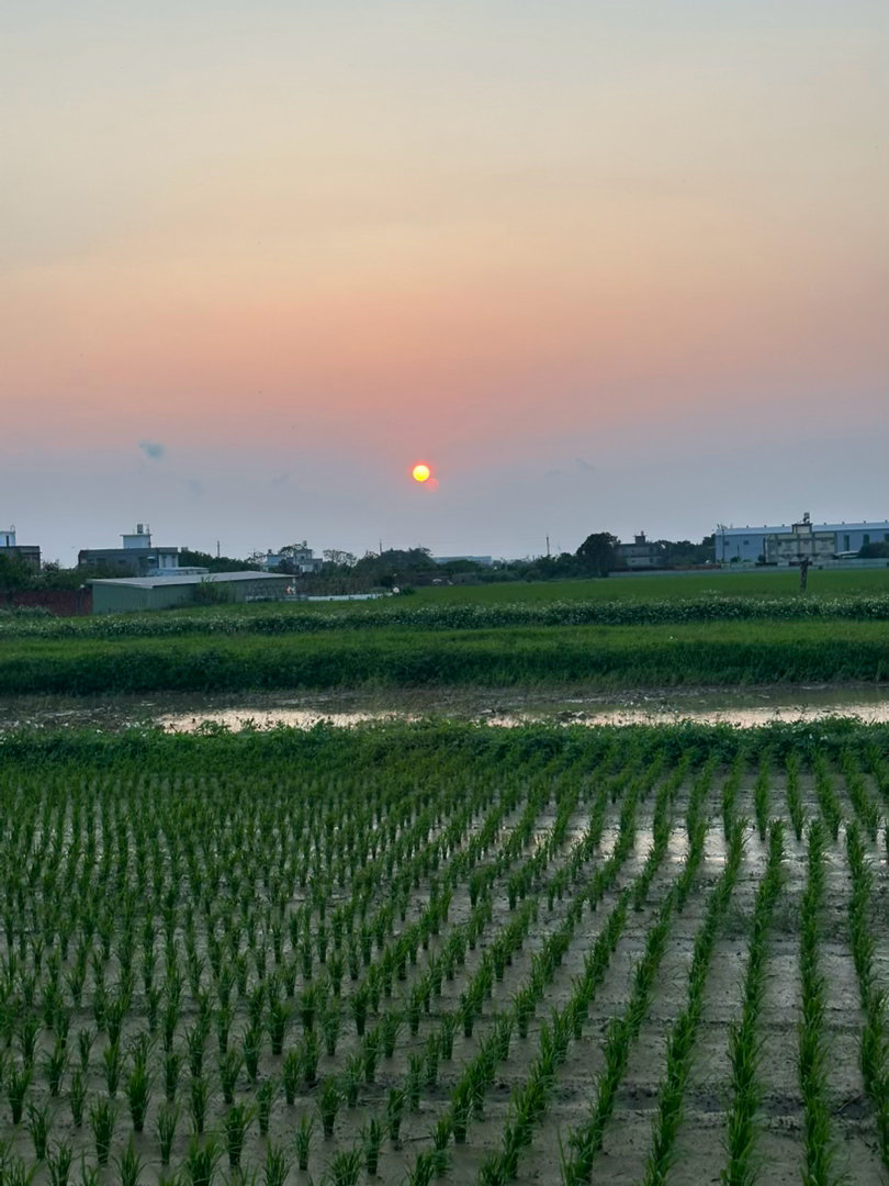 阳光信用  阳光信用 互动打卡 欢喜是活力之源。它带来生命的跃动，突破困难的障碍