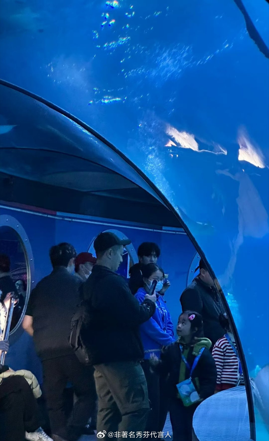 全世界都在偶遇这个陈哲远，很接地气的一款明星啊海洋馆偶遇陈哲远海洋馆偶遇陈哲远