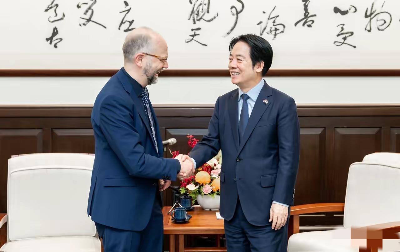 5月26日，赖清德兴致勃勃地会见了德国联邦议院跨党派代表团。场面却透着一股难以掩