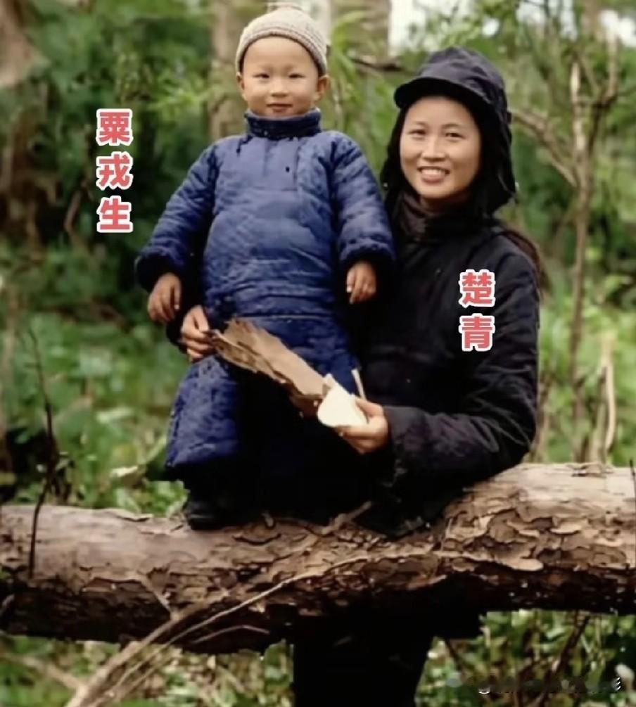 苏浙军区成立初期战事紧张，粟裕一边指挥作战，能够陪伴家人的时光有多难得？