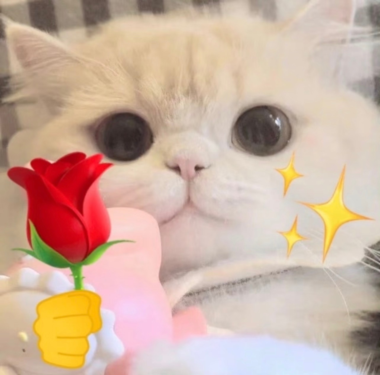 魔援我们也来约约人！都是红月月养tie续🔥的 1⃣️墨3 txw2⃣️墨3芙4