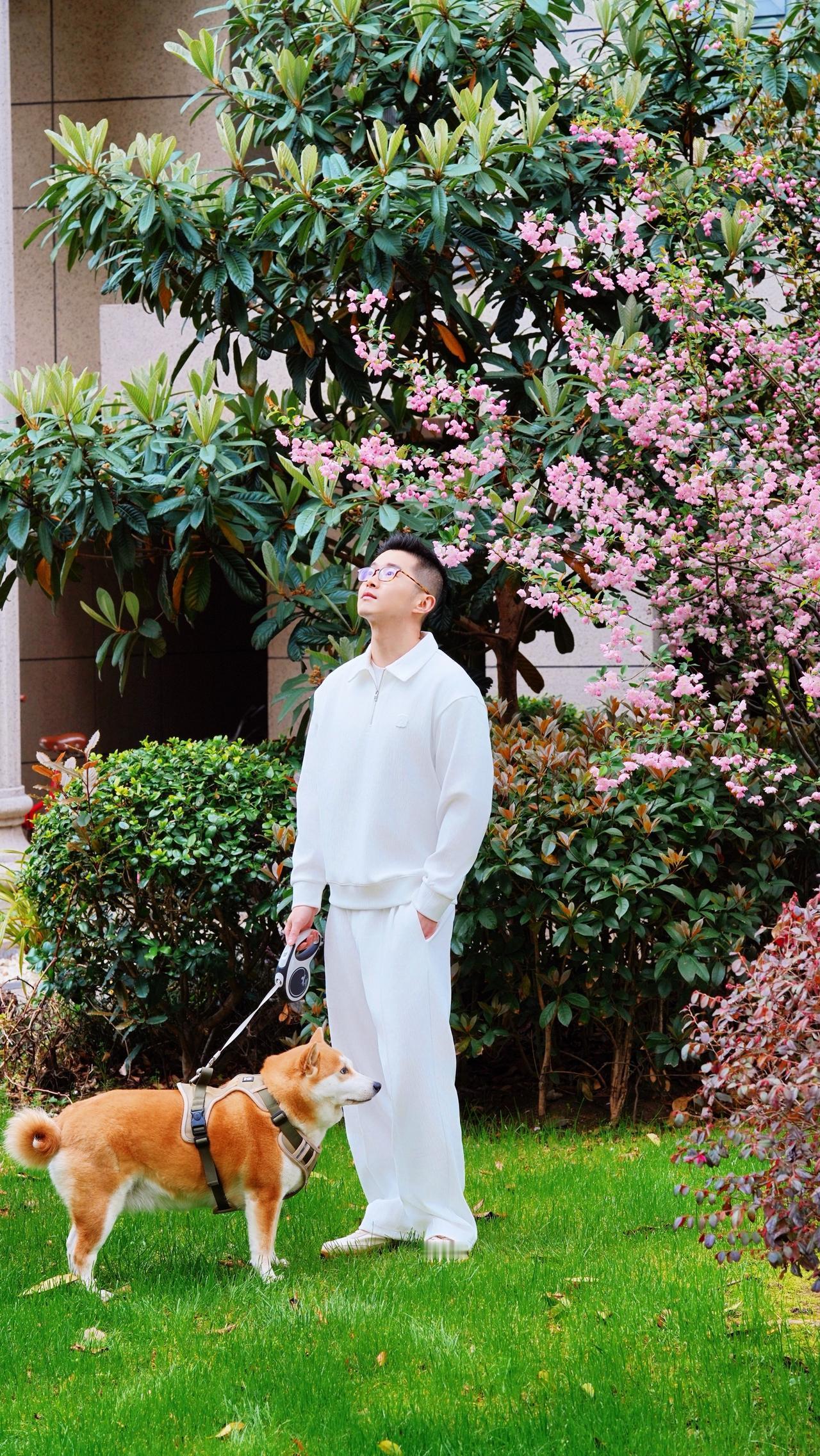 东风袅袅泛崇光，香雾空蒙月转廊。
只恐夜深花睡去，故烧高烛照红妆。
苏轼《海棠》