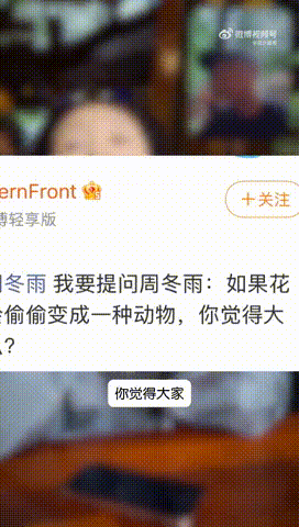周冬雨说邓为是内蒙狼王周冬雨想变成脱缰的野驴花儿与少年向往自由的周冬雨太迷人了！