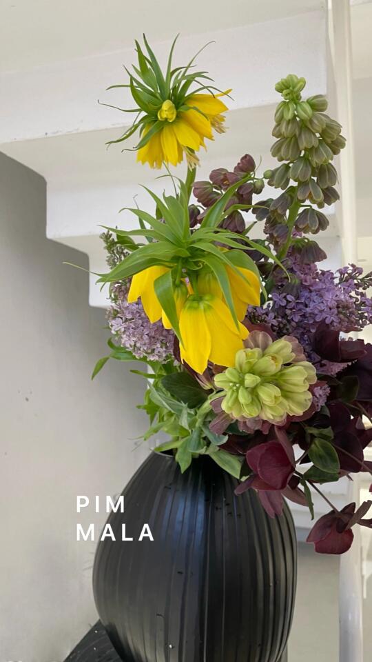 PIMMALA｜如何歌颂花