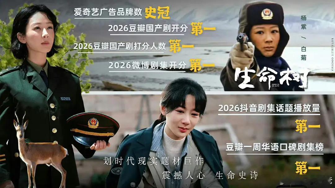 杨紫新剧战报怎么都来自于豆瓣 