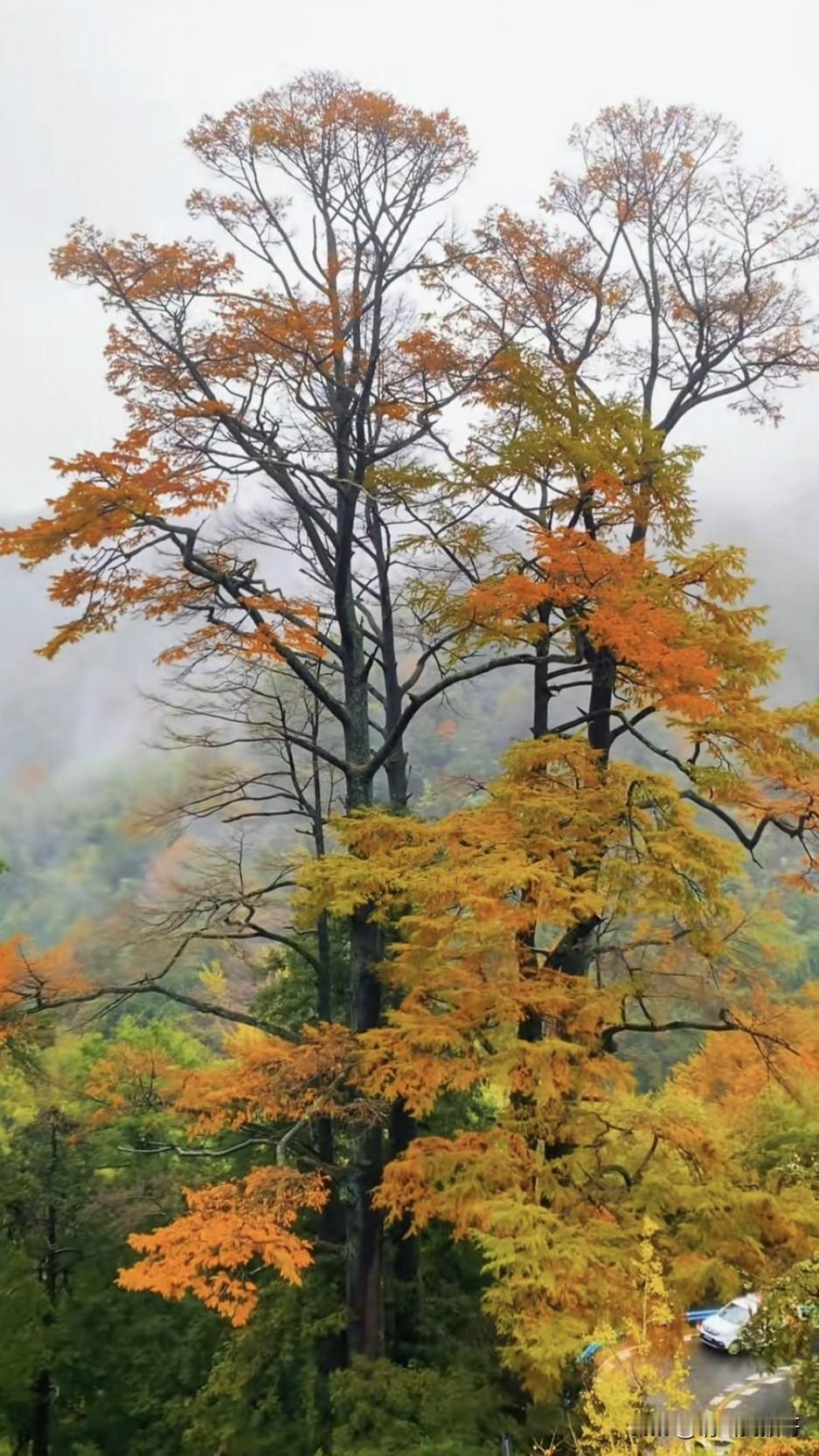 一组美丽的风景