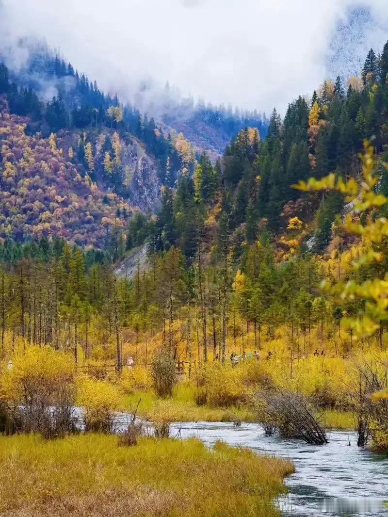 努力做一个善良的人，做一个心态阳光的人，做一个积极向上的人，用正能量激发自己，也
