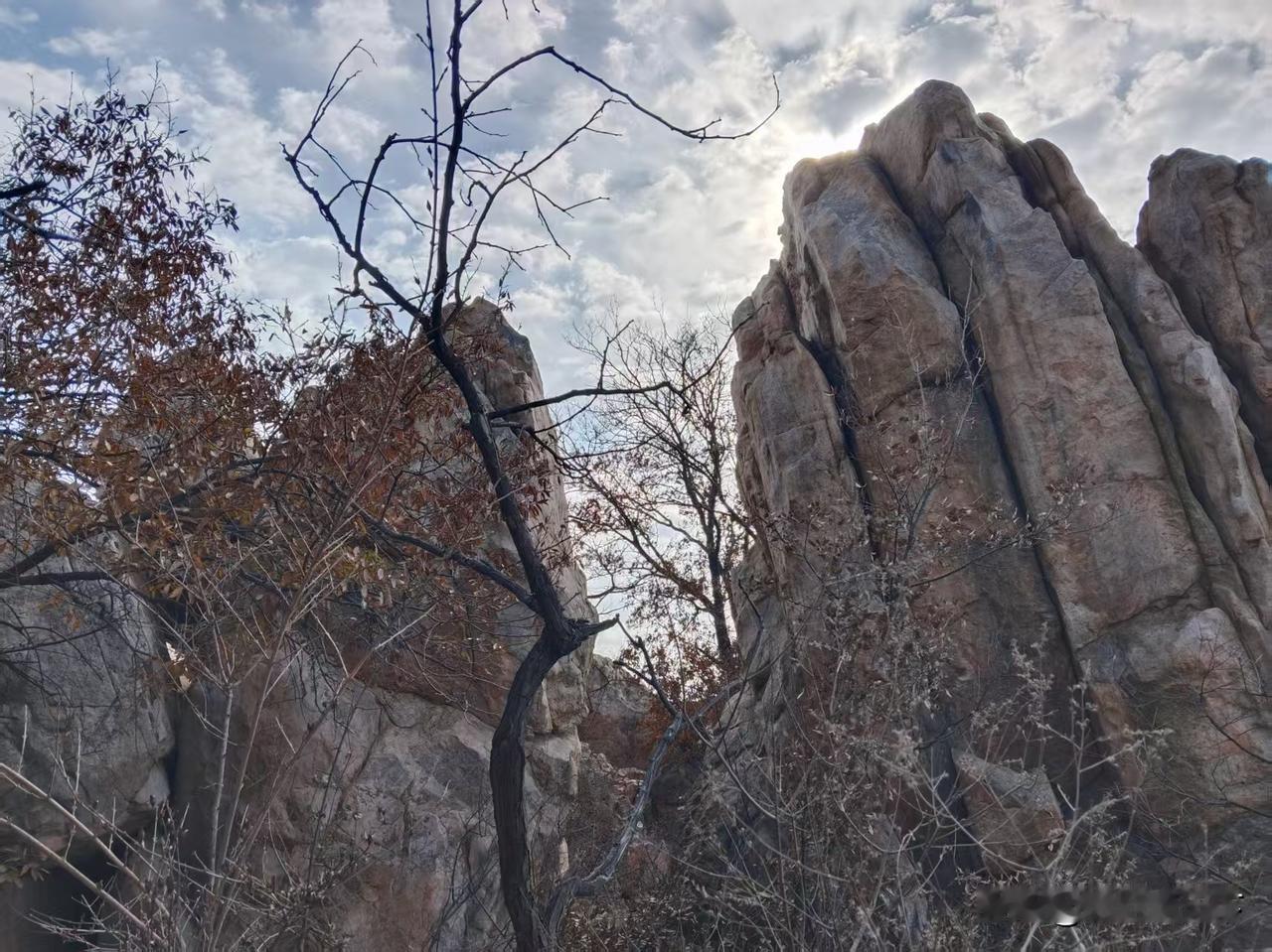 行至石缝间，忽见一缕阳光穿透云絮，在岩壁上投下流动的光斑。枯藤与奇石相拥，枯枝与