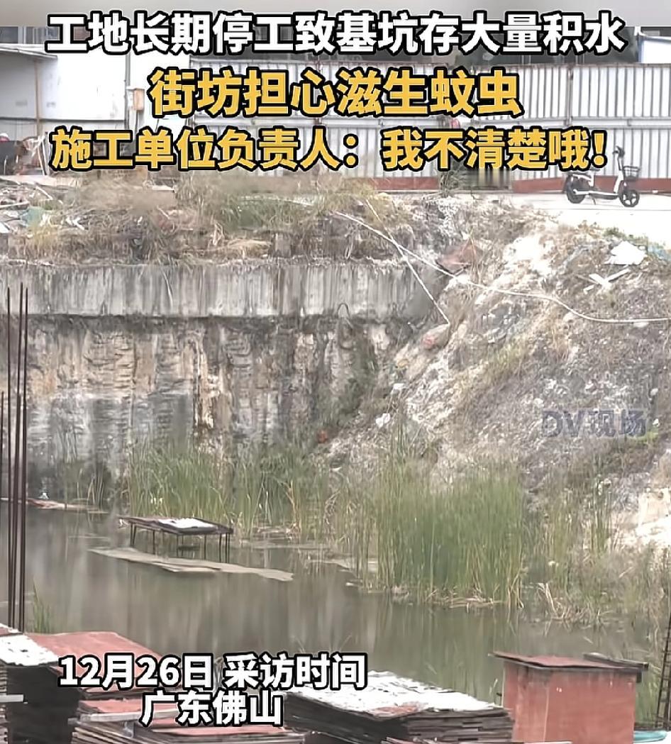 广东佛山一工地长期停工导致基坑积水严重，附近的居民担心滋生蚊虫对环境造成威胁。有