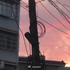 阳光信用每日一善微笑轻扬，抚慰忧伤，每日善意之举，便是治愈创伤的良药，给予他人重