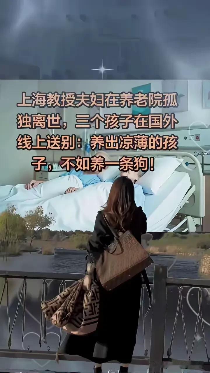 养出生性凉薄的孩子还不如养一条狗