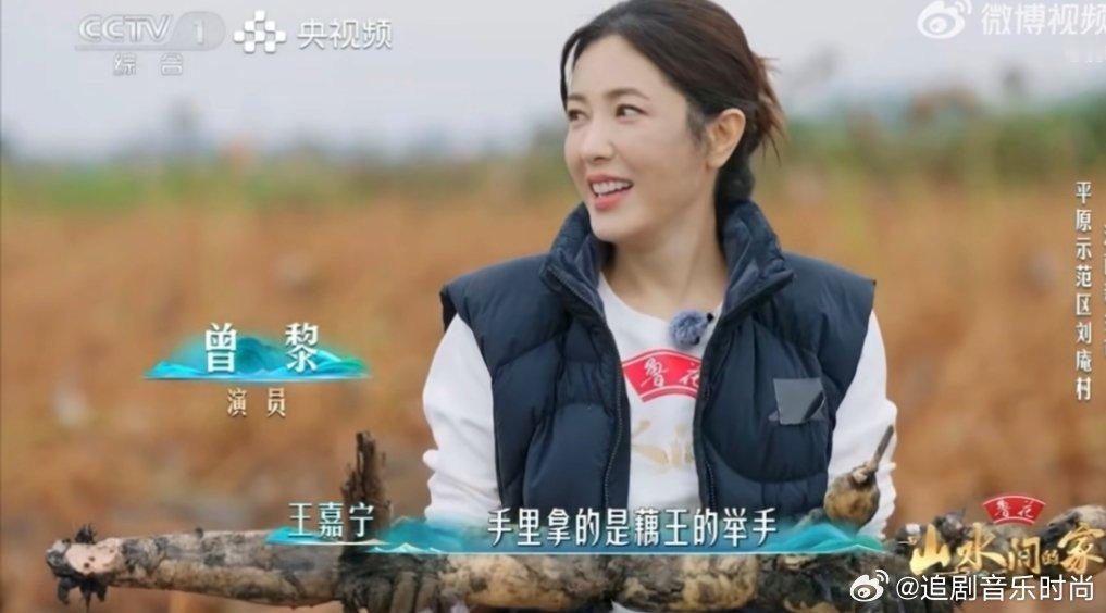 曾黎挖出了一米长完整的藕《山水间的家》的田间藏着小惊喜！曾黎和伙伴埋头挖藕，意外