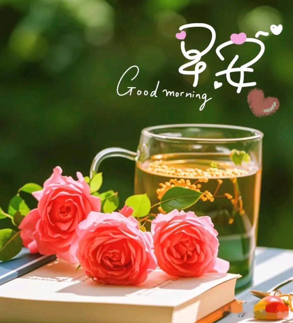 #夏日生活打卡季#
今天是8月15日，星期四
成功需要自强。苟安者弱，拼搏者强。
