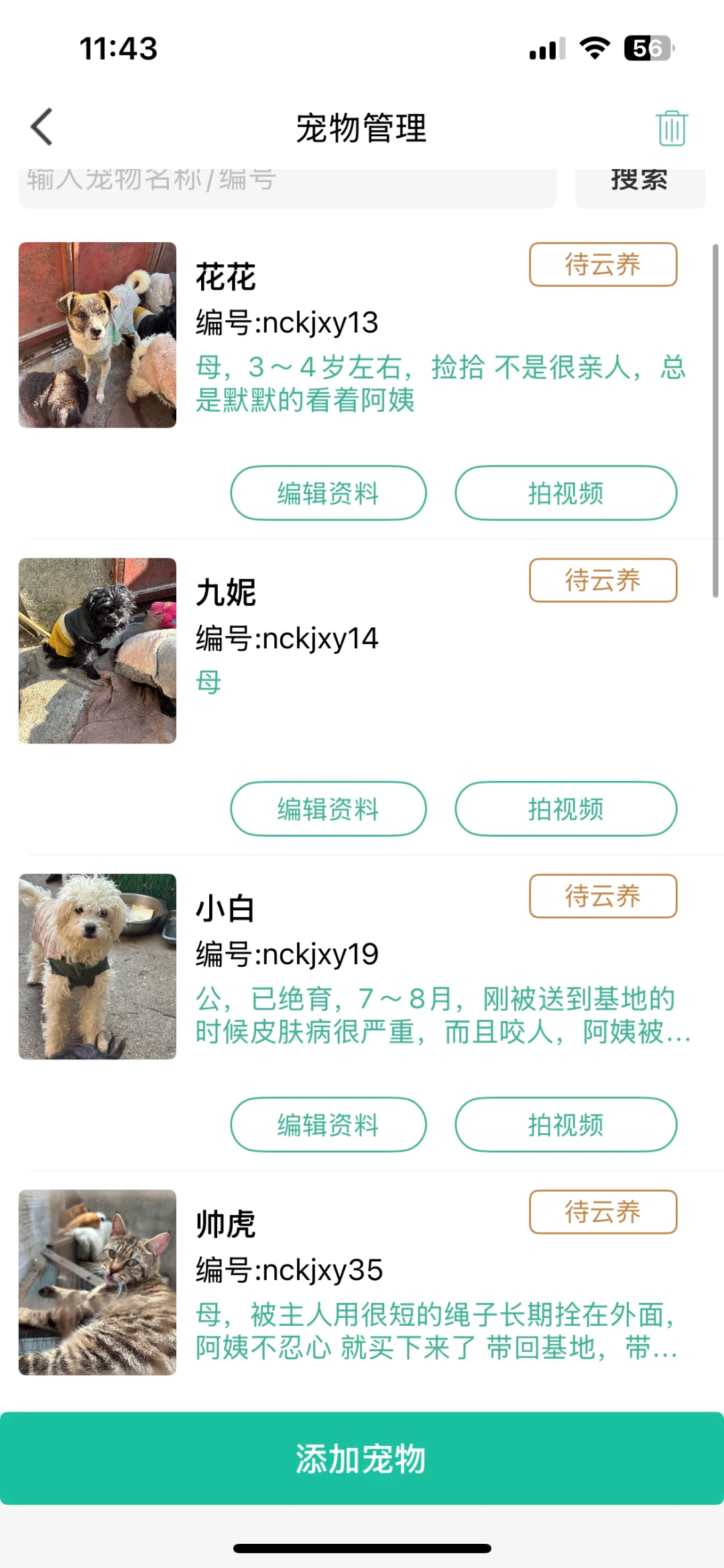 一杯奶茶💰 一个属于自己的修狗！