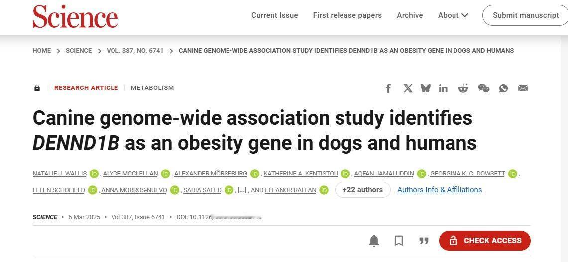 汪汪队立大功！科学家发现人犬通用“肥胖基因”

肥胖已成为全球性的健康挑战，其复