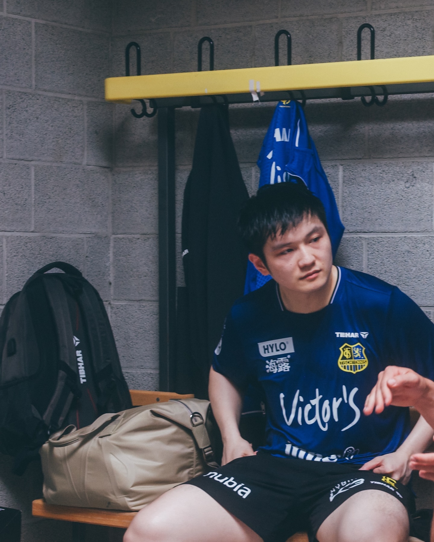 腿比头大童脸狼 