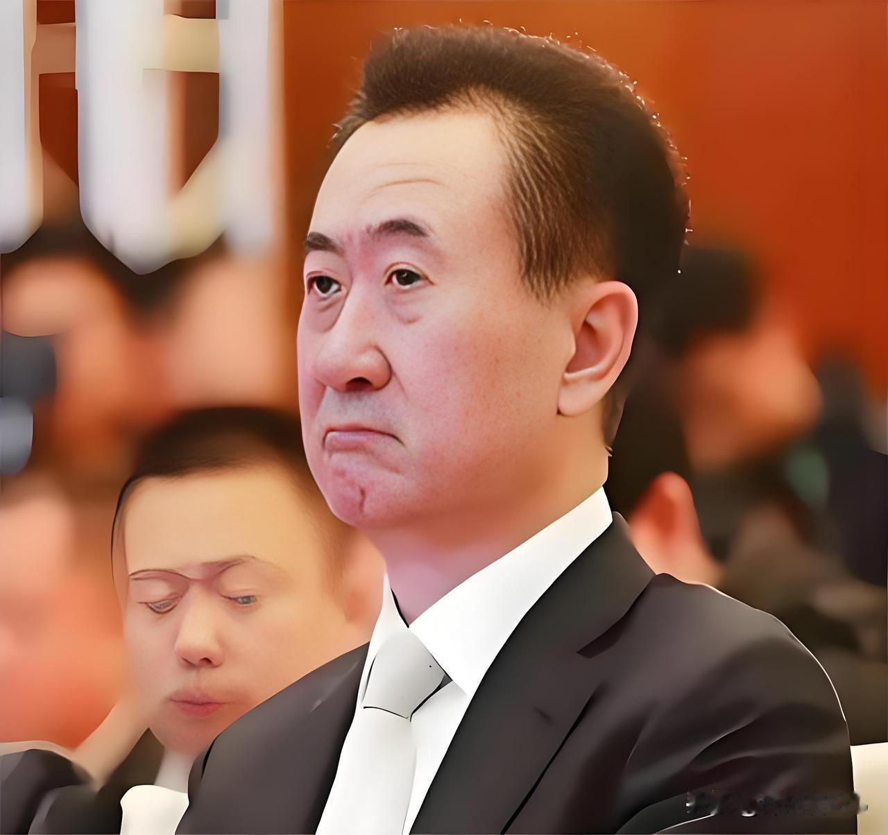 王健林或许至今都想不通

都干到亚洲首富了，才几年却摔得比谁都疼。

说白了，不