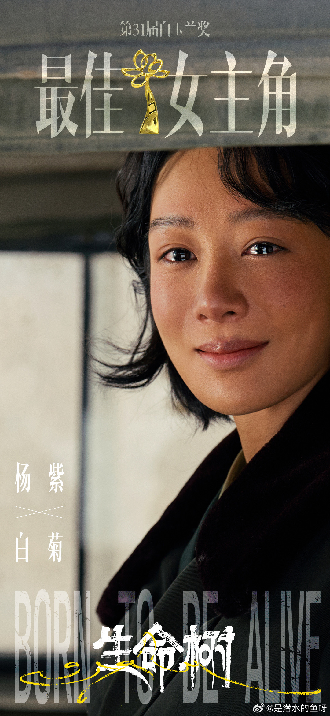 生命树 yz杨紫白菊yz杨紫生命树“白鸽脱离了白昼，黑暗世界的光是被诋毁的玫瑰 