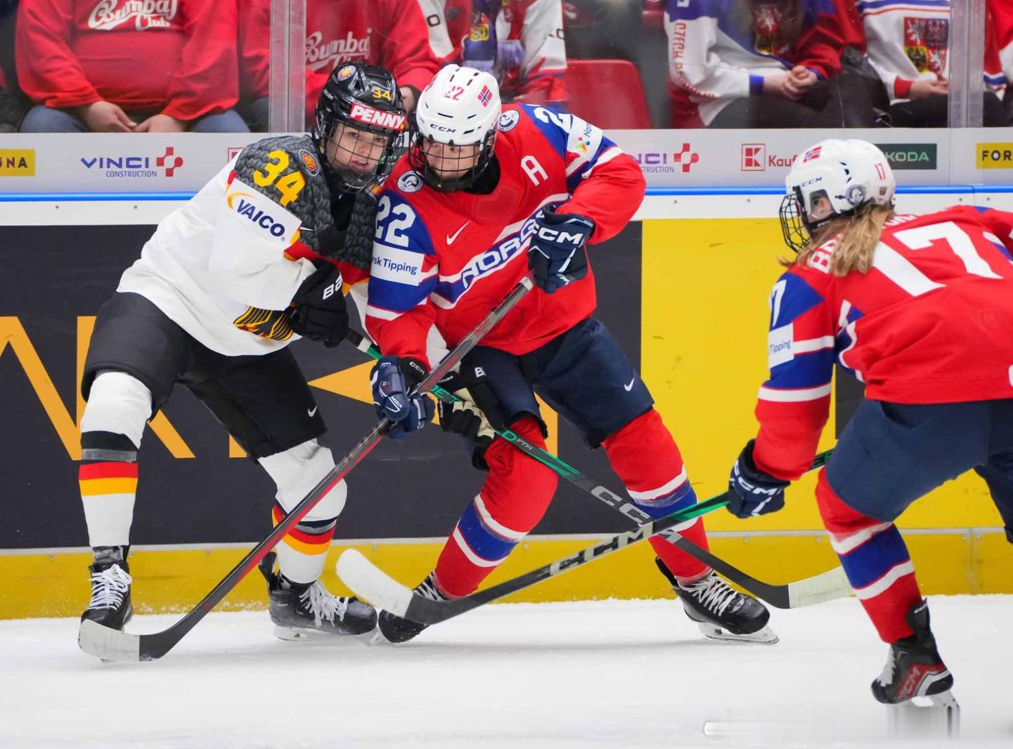 今日IIHF说明书 ——🇳🇴安德烈亚·达伦身高175cm，挪威国家队前锋。达