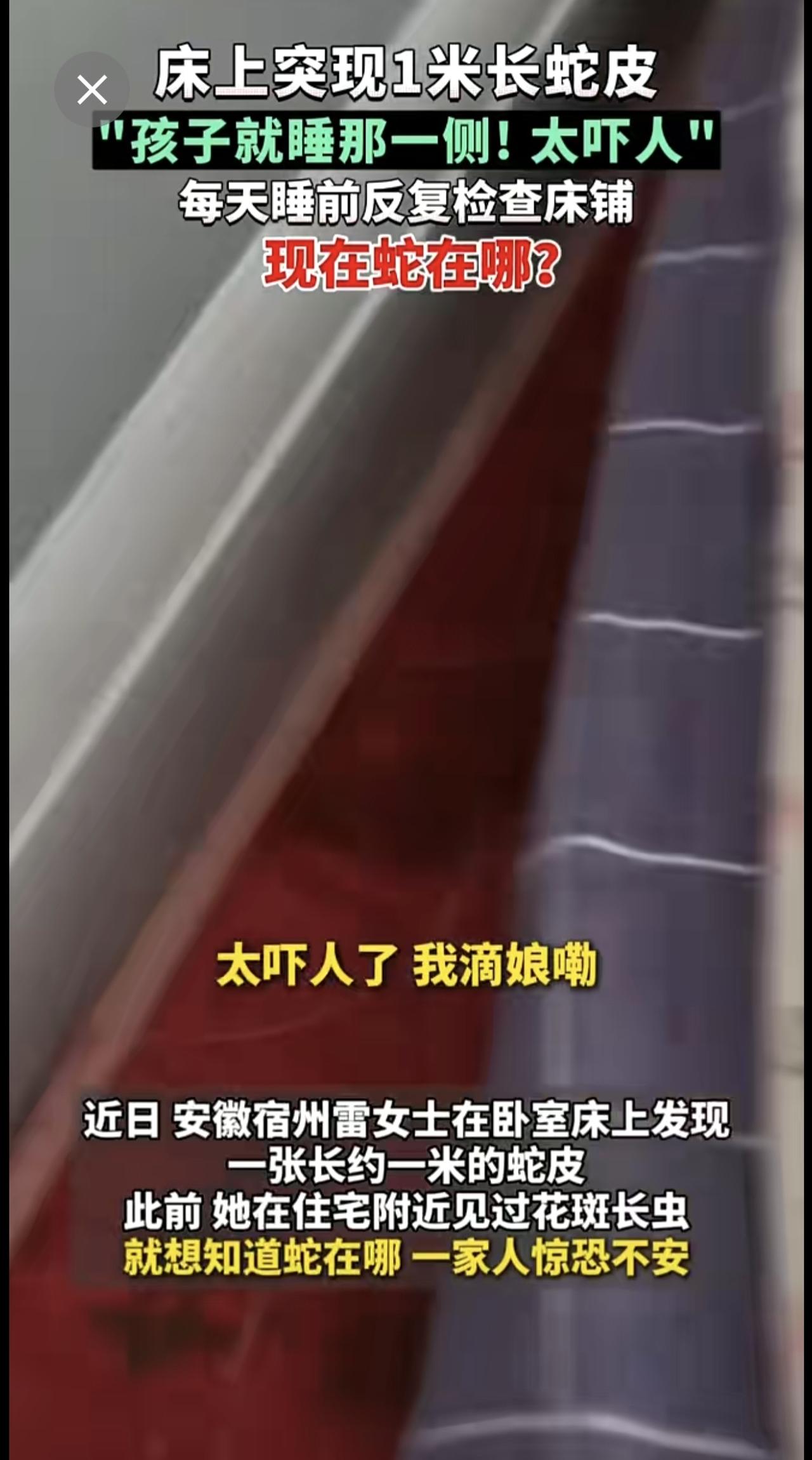 近日 安徽宿州，女子突然在床上发现1米长的蛇皮，孩子就睡那一侧，每天睡前都反复检