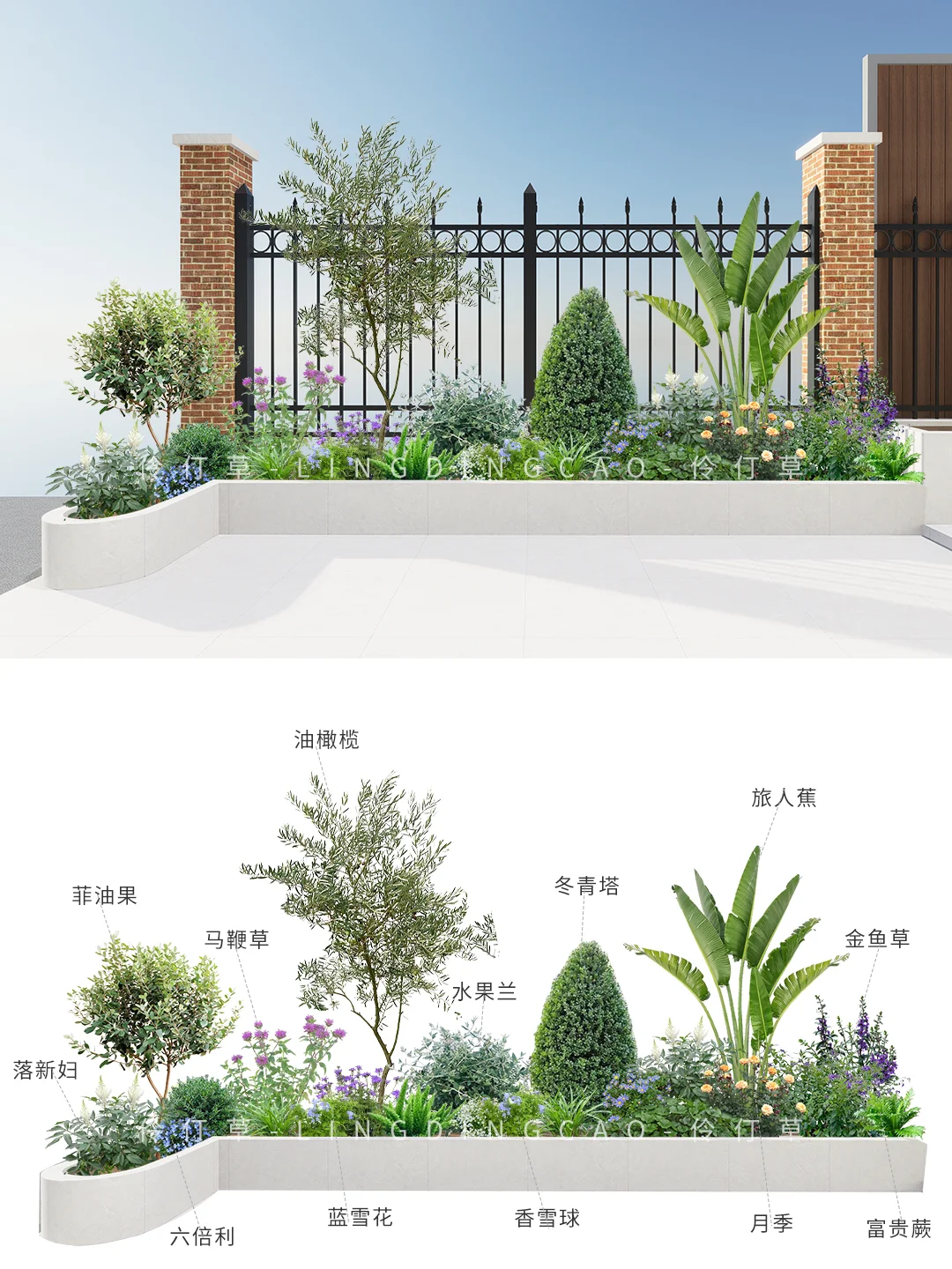 秋冬庭院花坛植物搭配丨低维护免打理附清单