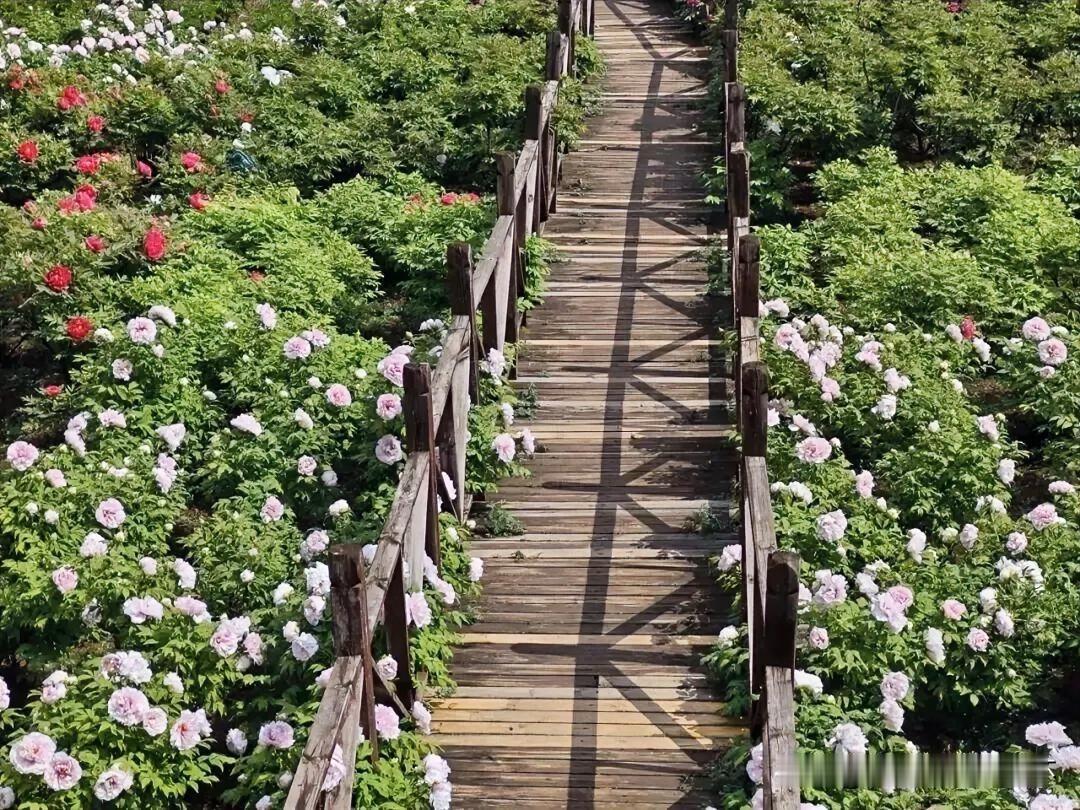 下联：繁花满目上林春
上联：有请雅士[玫瑰][玫瑰][玫瑰]