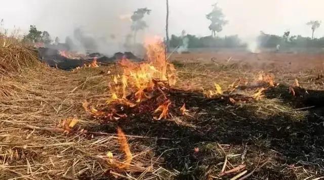 人民日报刊登读者来信：阴雨天气村民忙排涝，村里却在宣传“禁烧秸秆”。 如此死板怎