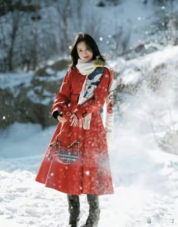 董洁： 哇塞，这个也太美了吧！