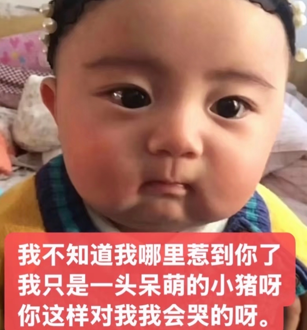 还我。红v 