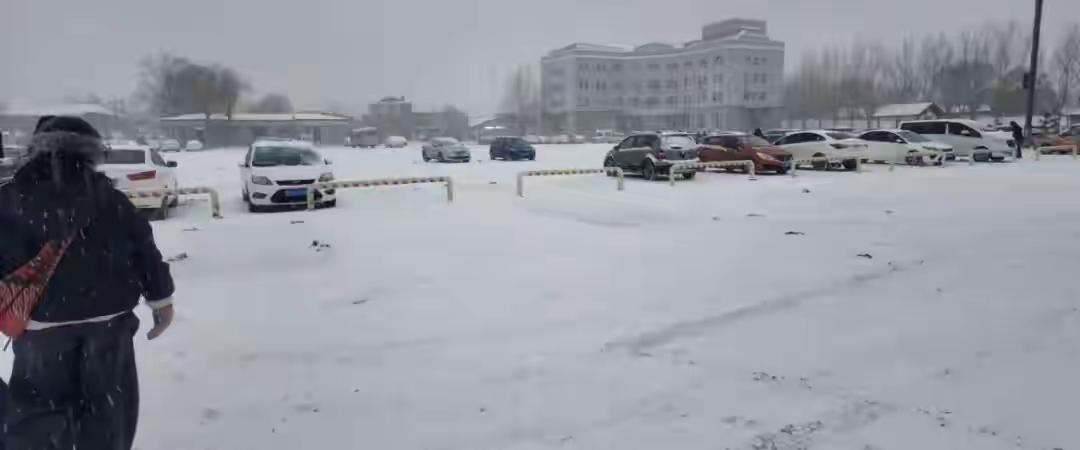 哈尔滨漫天飞雪中，数十位陌生人从全网奔赴而来，只为送一位90岁陌生奶奶体面最后一