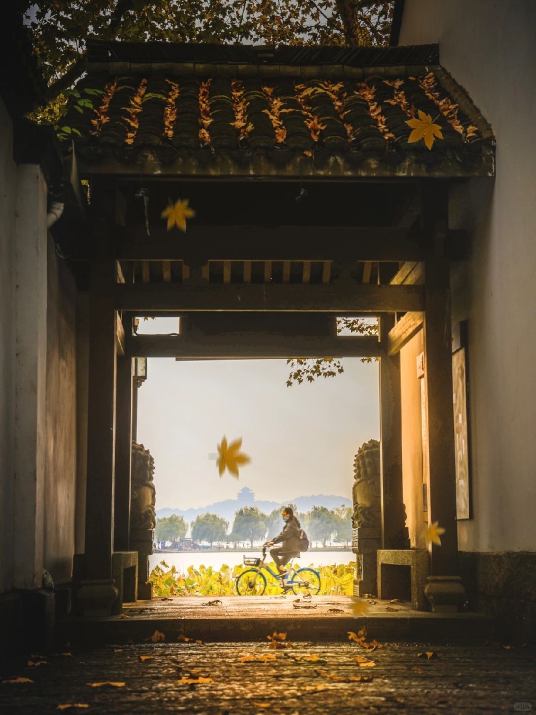 西湖深秋有多美❗️透过这扇门㊙️叶落知秋🍂