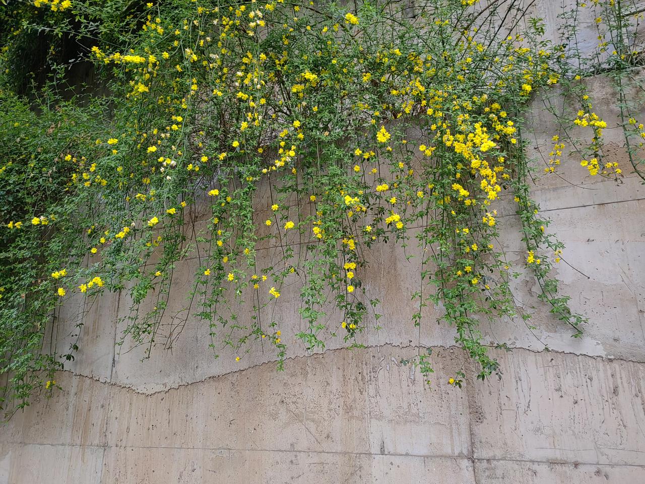 一同学说笑话，很富人生哲理。
小时候太穷，怕长大娶不上媳妇，只好努力考大学。
大