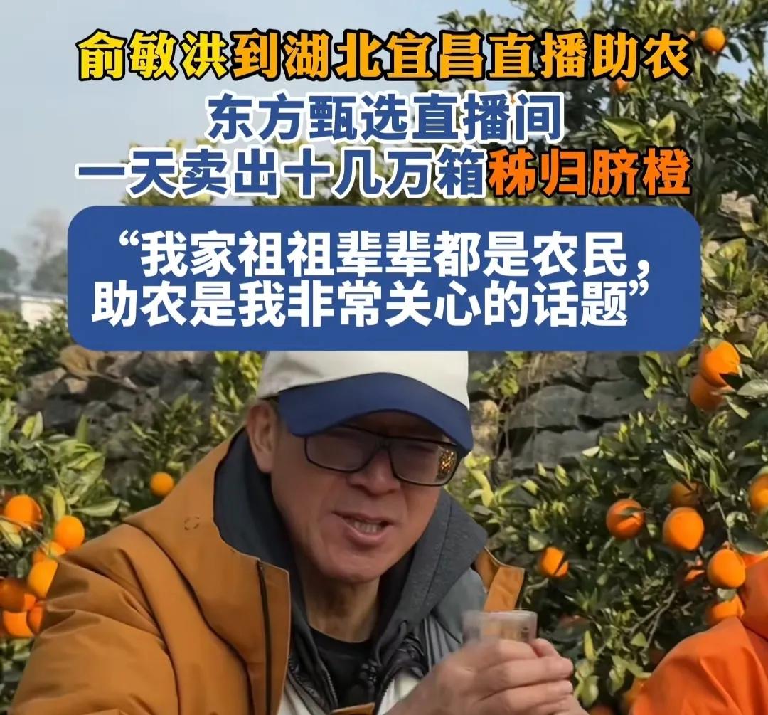 俞敏洪一天卖出十几万箱秭归橙！这才是助农！不过呢，还有一些市场他没发现:比如可以