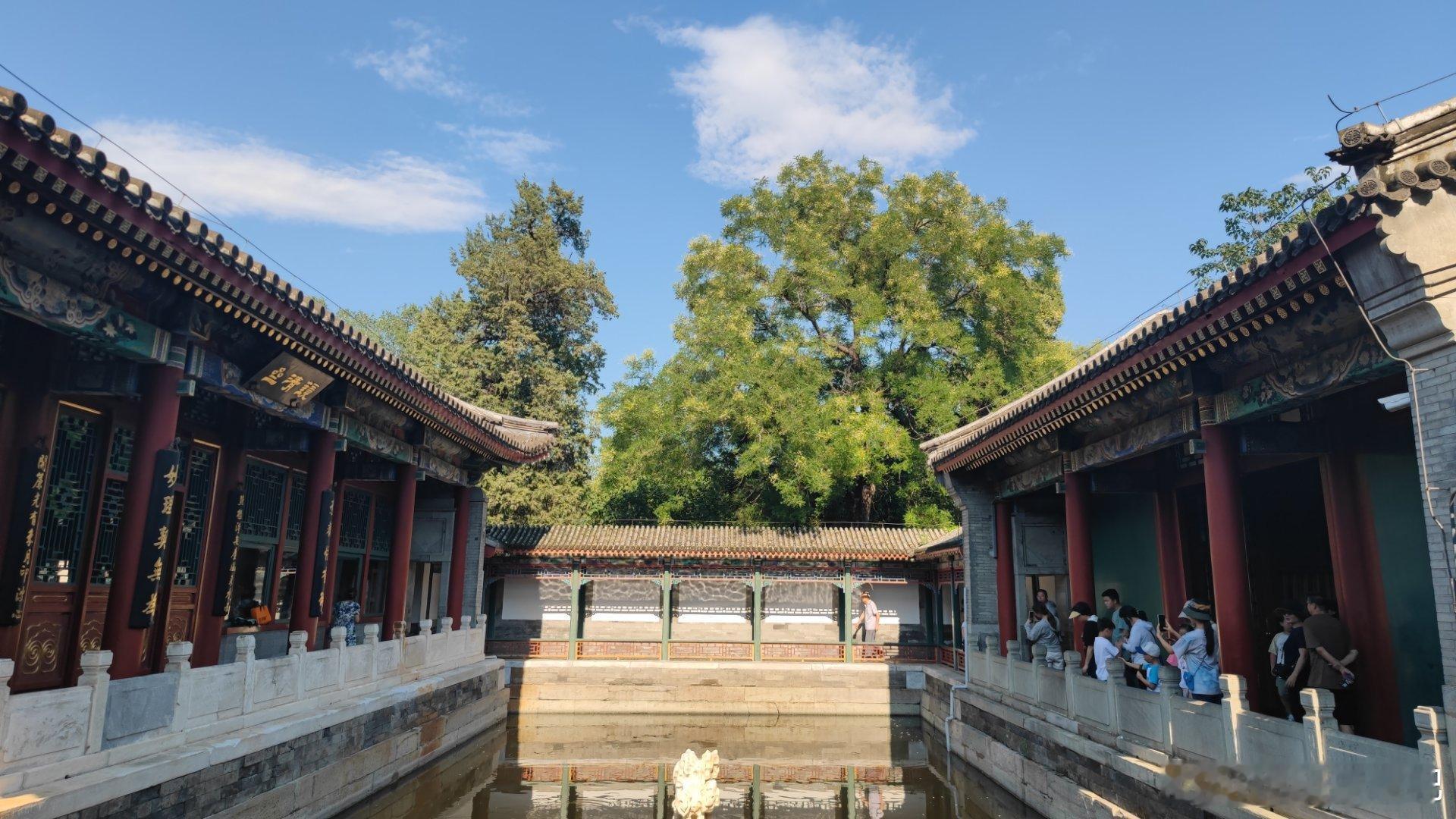 北京北海公园的夏天摄影​​​