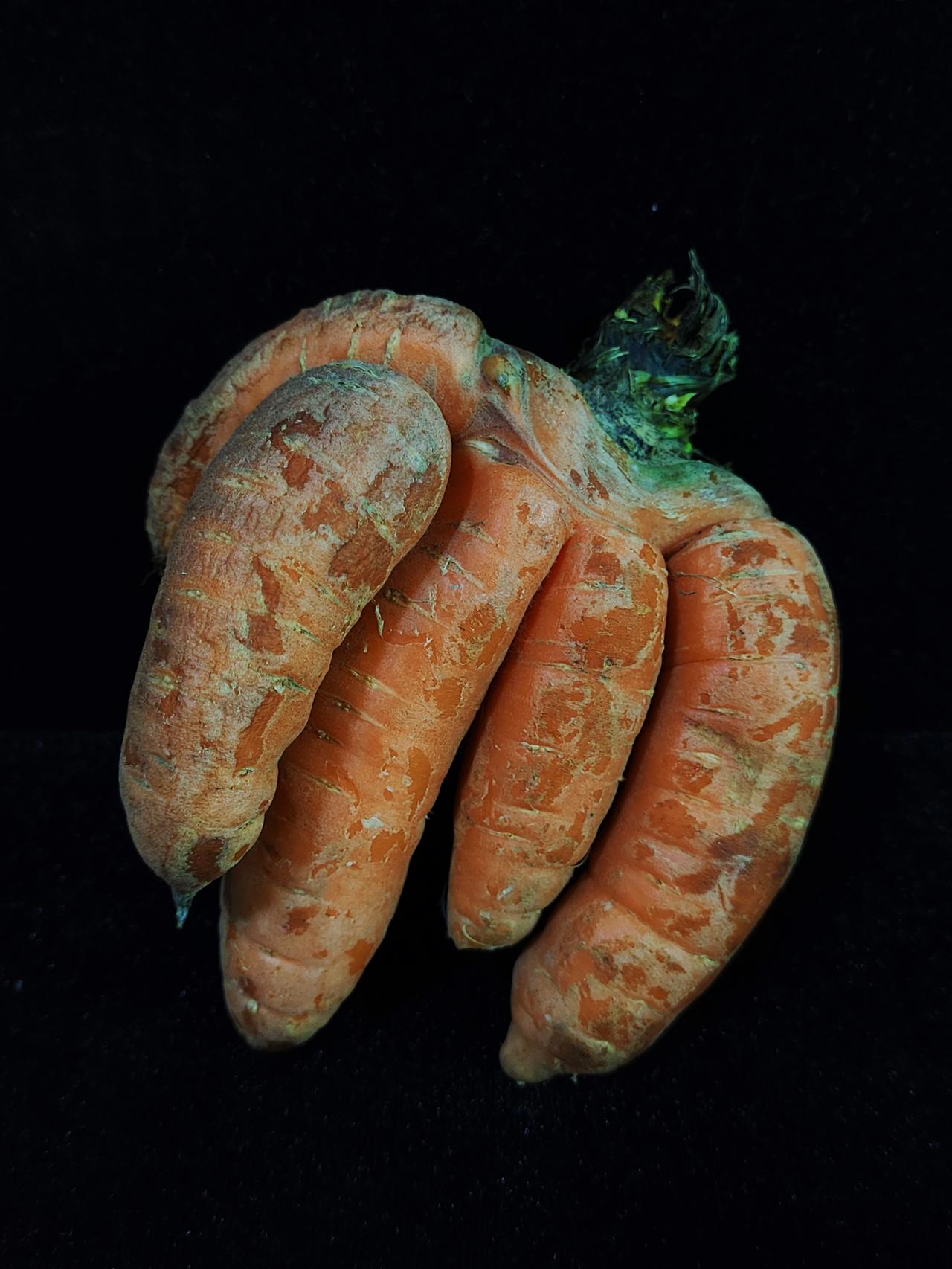 你见过胡萝卜香蕉吗？

从菜市场买了点便宜的胡萝卜，1块钱一斤。

这一串长得像