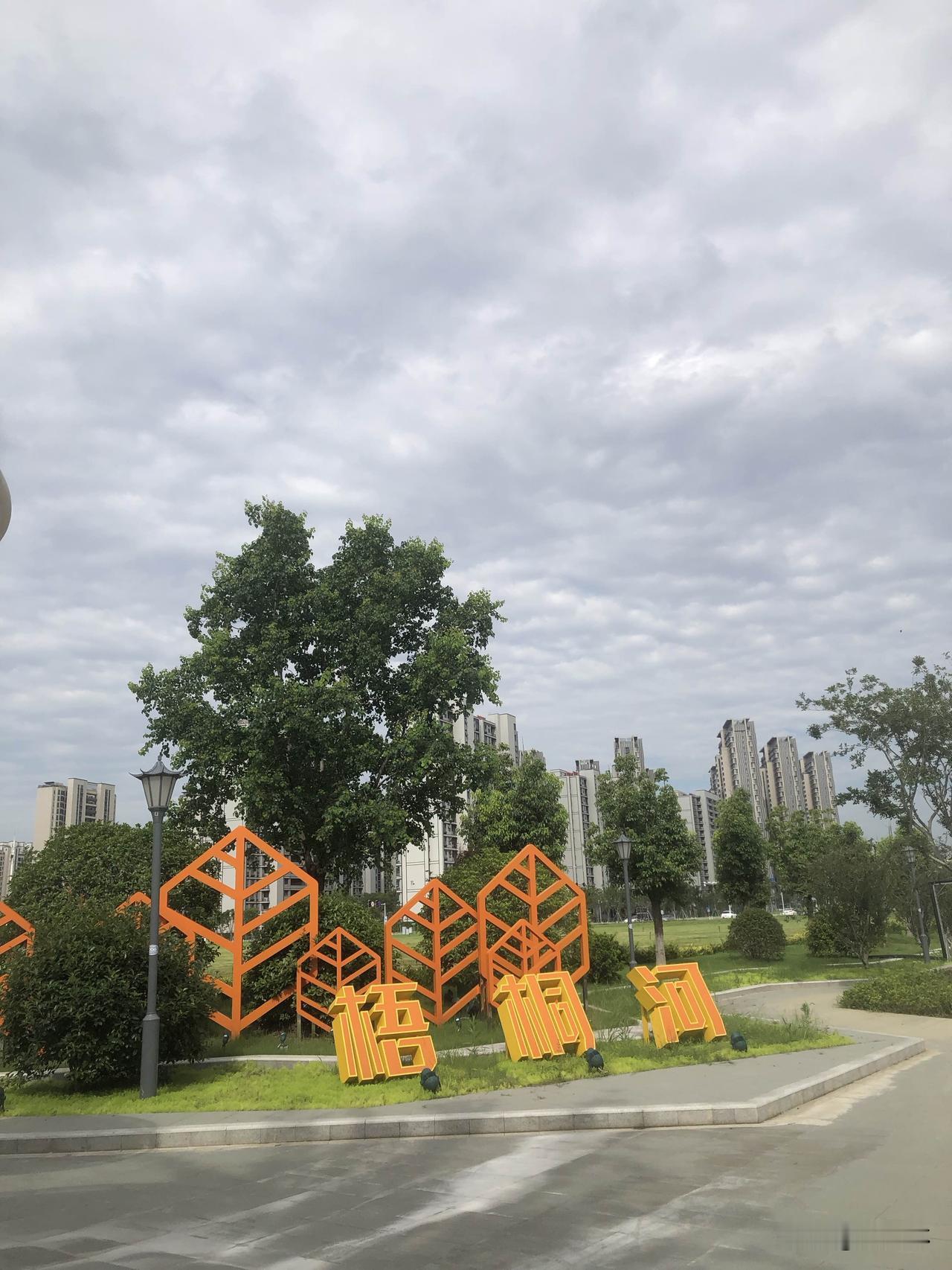 早晨漫步梧桐河岸边，满眼都是舒心的好风景。开阔草地绿意盎然，绿树成荫，河面水波平