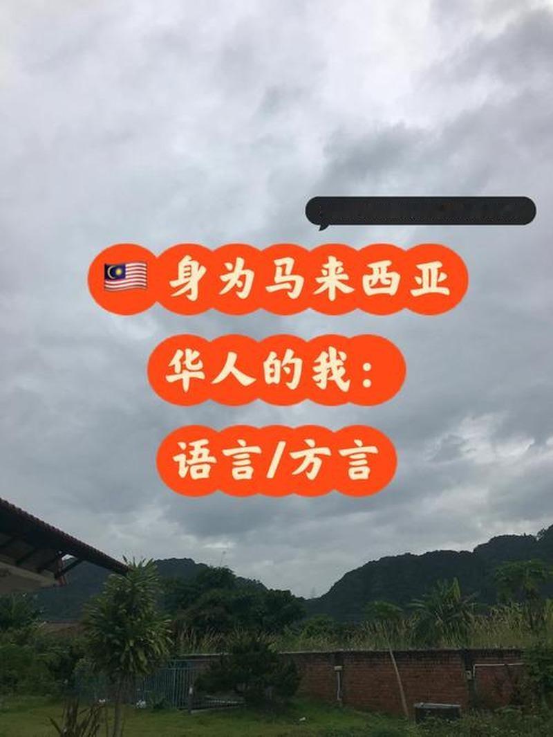 新加坡把方言叫做障碍，马来西亚人却靠民间筹款，把60所华文独立中学从灭绝边缘拉了
