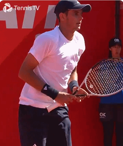 我一直蛮好奇，Speed这款球拍为啥在ATP百强里只有两位球员使用。ATP 一位