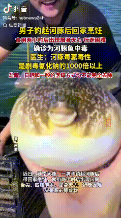 悲剧还是发生了！近日，辽宁大连，一男子在海边钓鱼时，钓上来不少河豚，他知道这种鱼