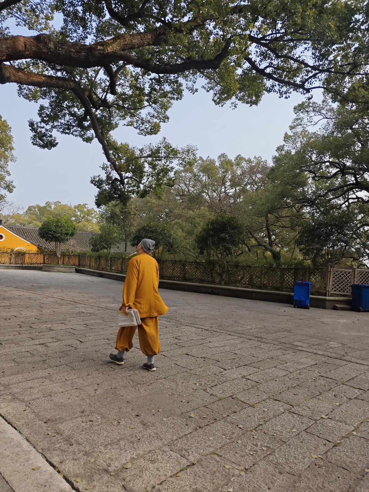 杭州灵隐寺我来过很多次了，无论收不收门票都是人潮涌动。现在杭州市政府给了大家红利