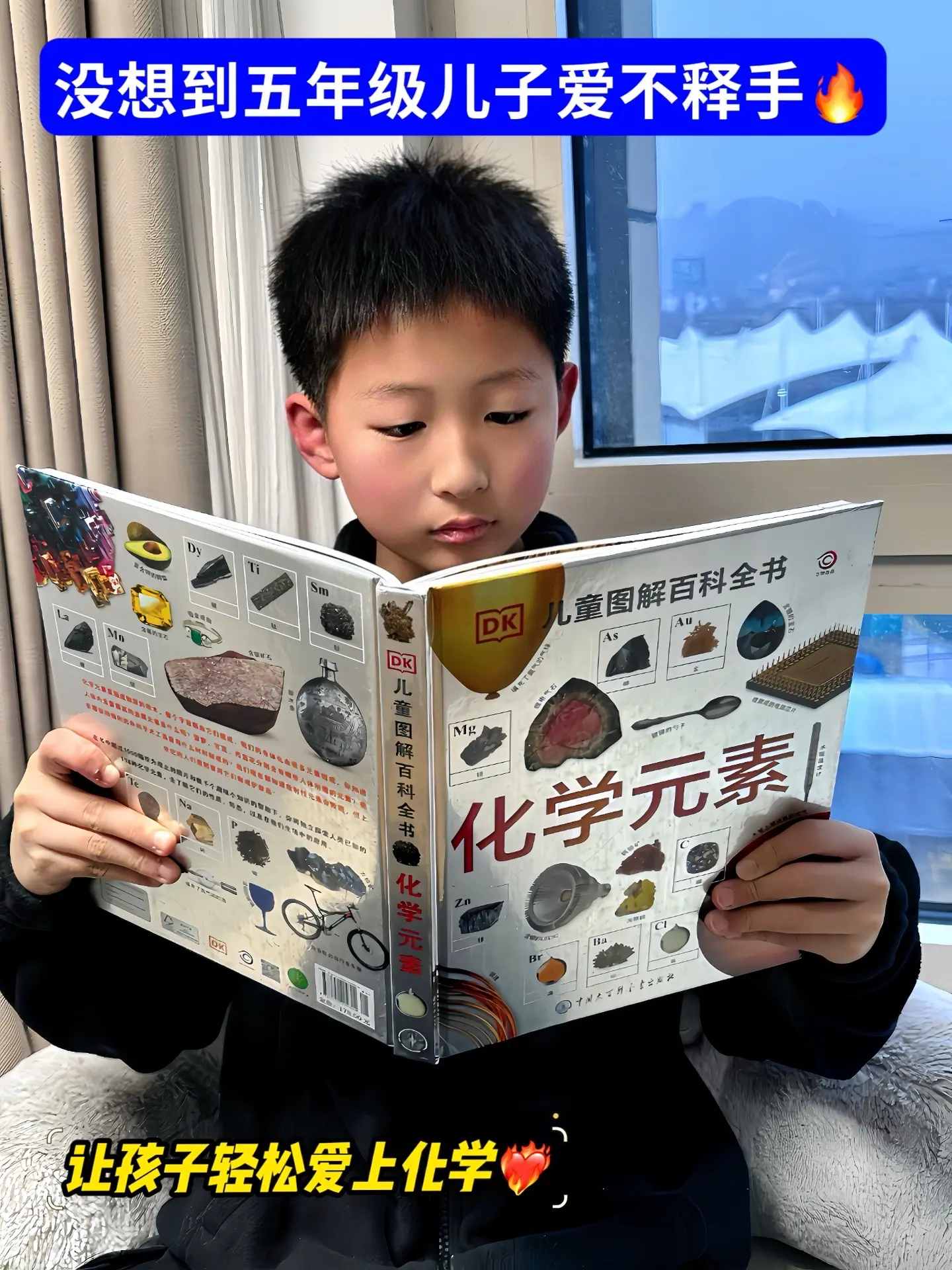 不愧是DK专为中小学生准备的化学科普书！本书共208页，按照元素周期表...