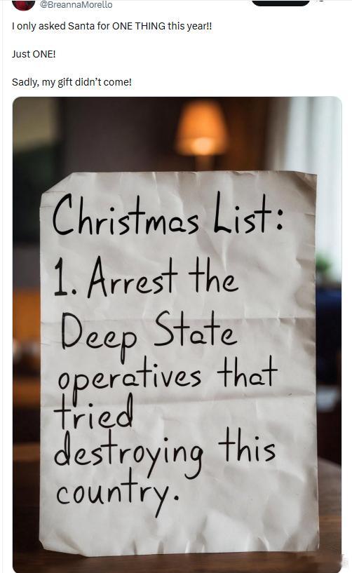 “逮捕那些试图摧毁国家的“深层政府”操作者。” 